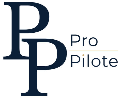 Logo Point Pilote