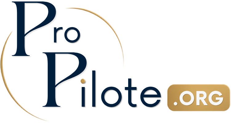 Logo Point Pilote